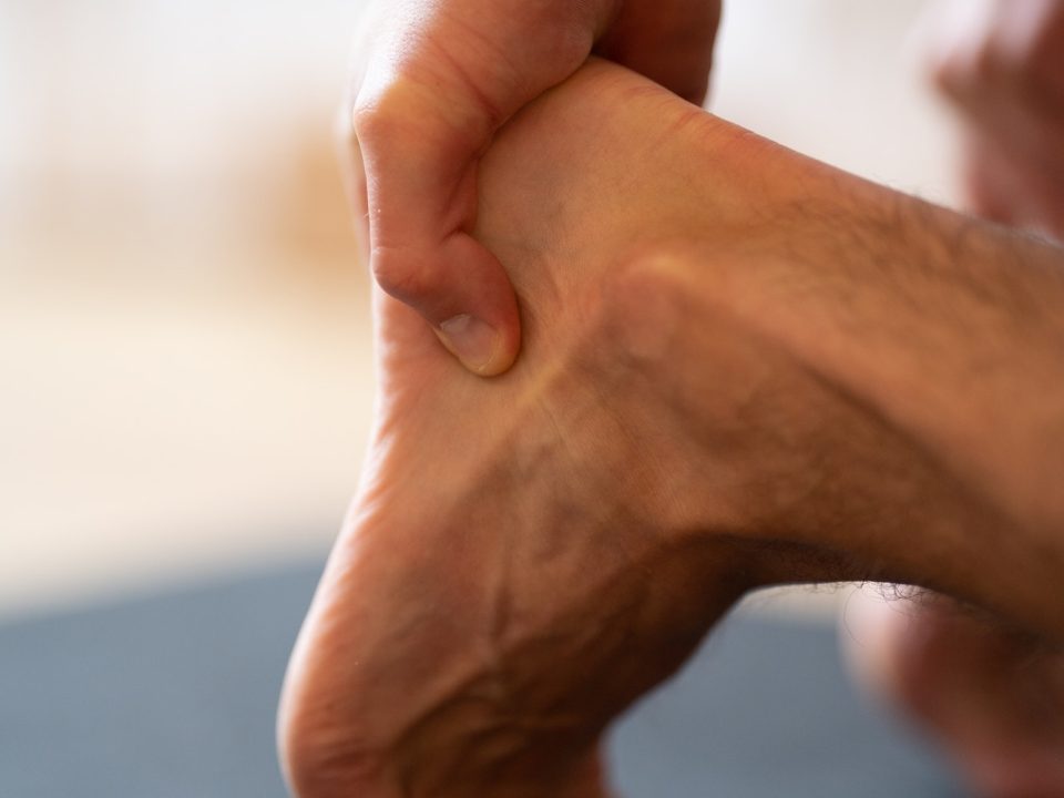 Épine De Lenoir Clinique Tagmed Montréal Terrebonne